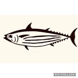 かつお食堂
