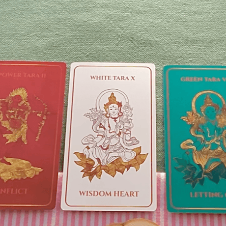 プレアデス | STORES