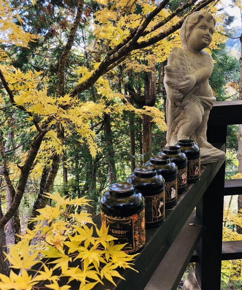 F03 花茶「金桂花茶」20g缶 | 中国茶専門店GUDDI