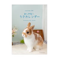 舞台衣裳とデザイン | ラピスエンテストア