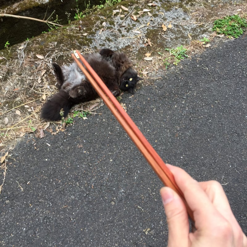 猫 箸置き 5個セット | sen no STORE