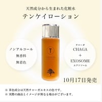 ホルミシスシーツ | pachi-noo