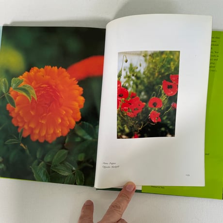 derek jarman's garden
