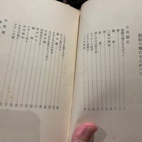 駱駝の瘤にまたがって