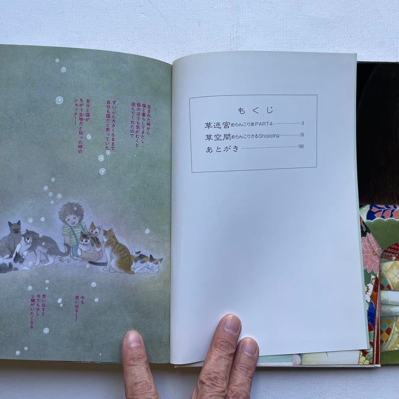 草迷宮・草空間 | 古書まどそら堂
