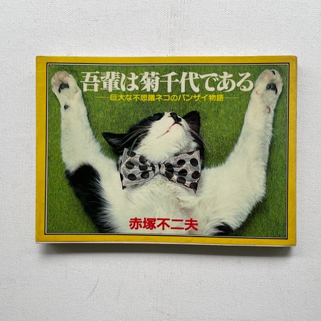 吾輩は菊千代である