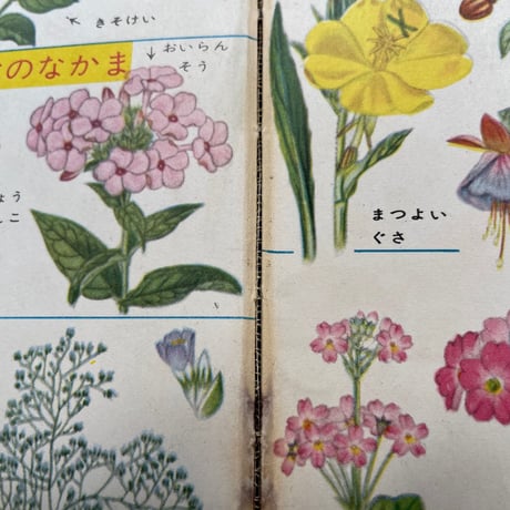 花の図鑑