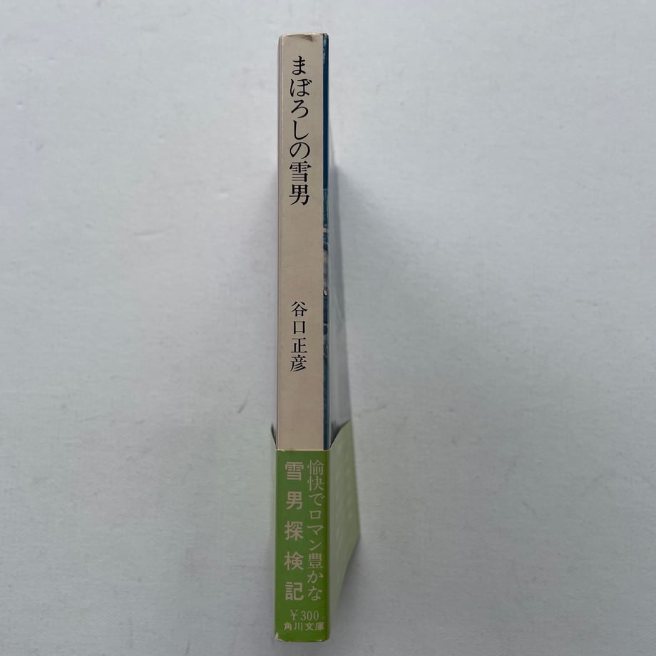 67d2788cfbf9f78b55dd7037