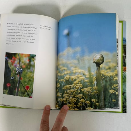 derek jarman's garden
