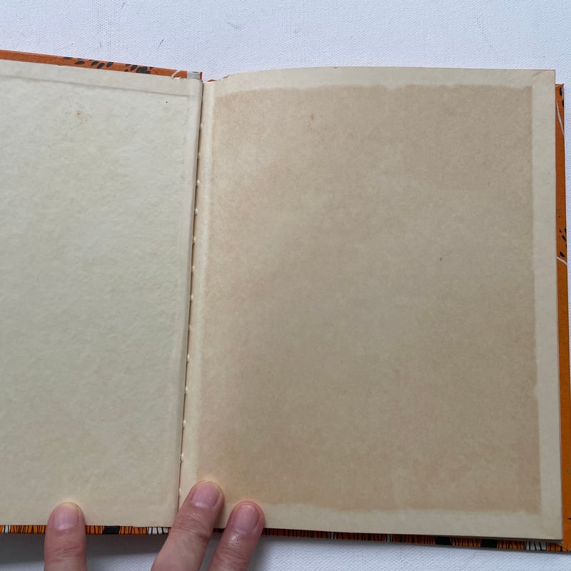 LET'S FIND OUT ABOUT SUMMER | 古書まどそら堂