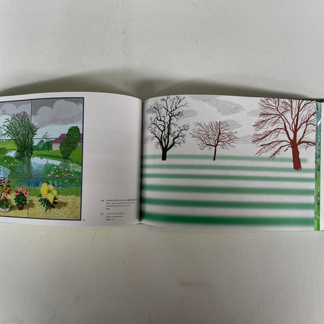 DAVID HOCKNEY