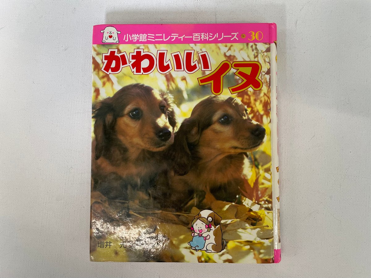 かわいいイヌ | 古書まどそら堂