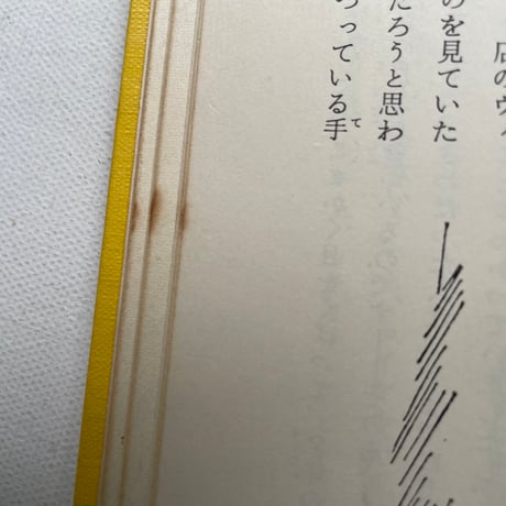 風にのってきたマリー・ポピンズ
