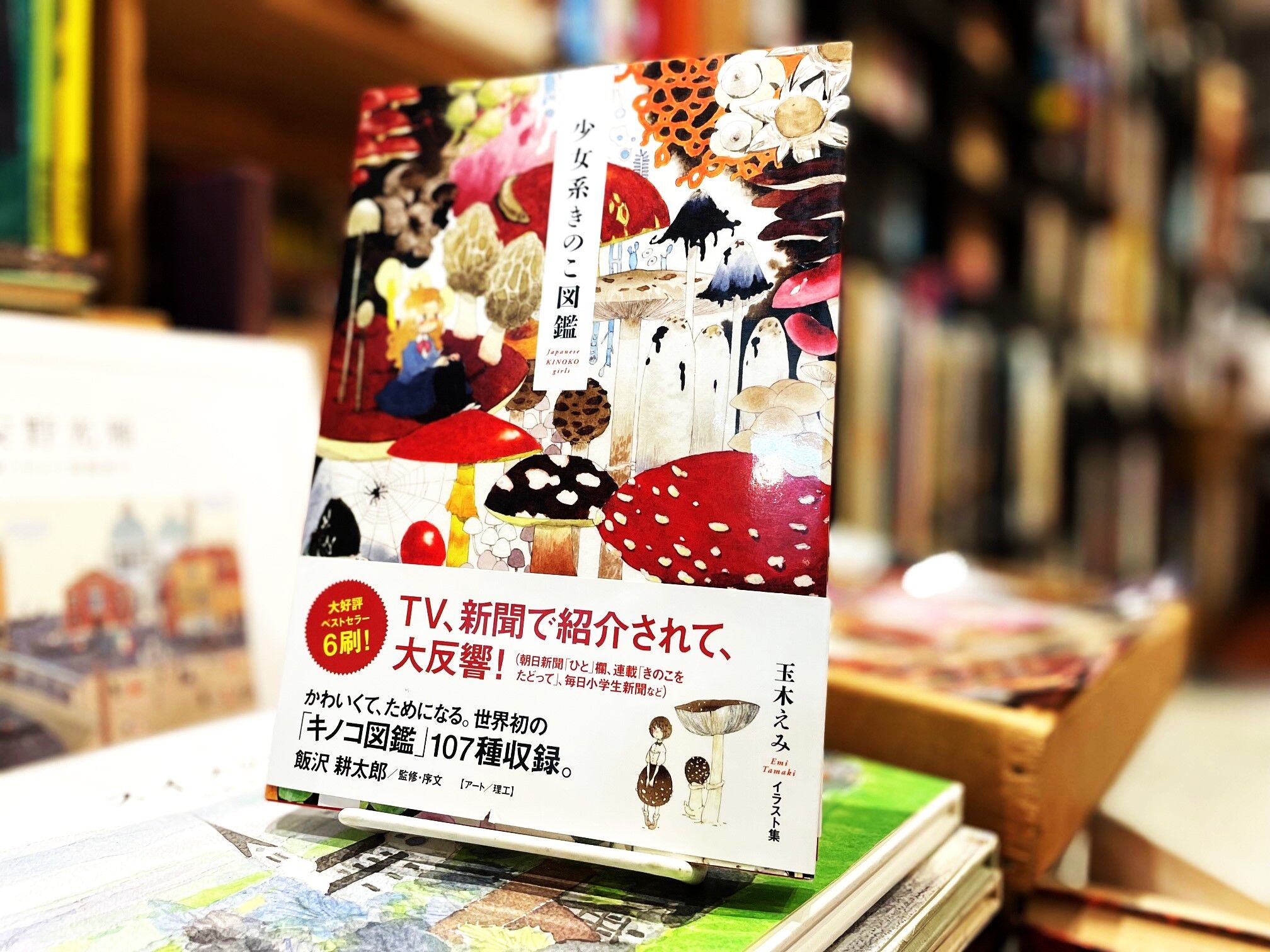 少女系きのこ図鑑 | 古書まどそら堂