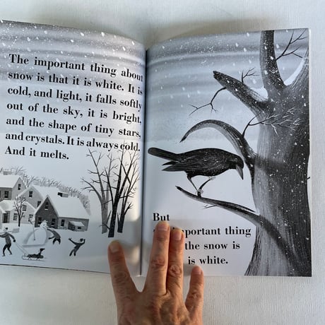 THE INPORTANT BOOK