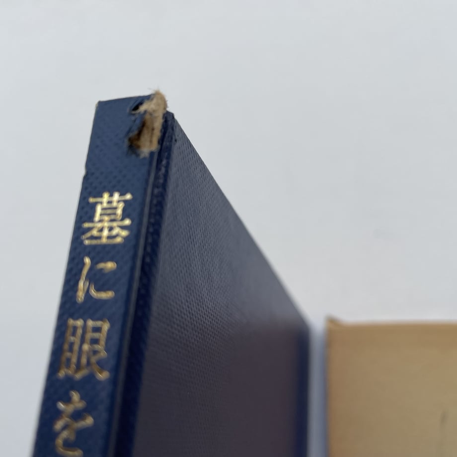 64f1896c95372900344056a6