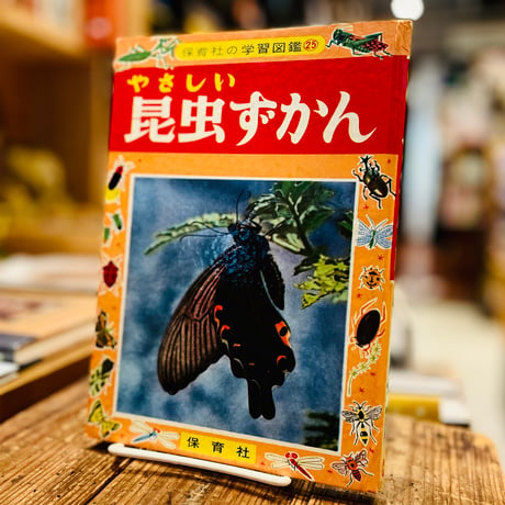 やさしい昆虫ずかん