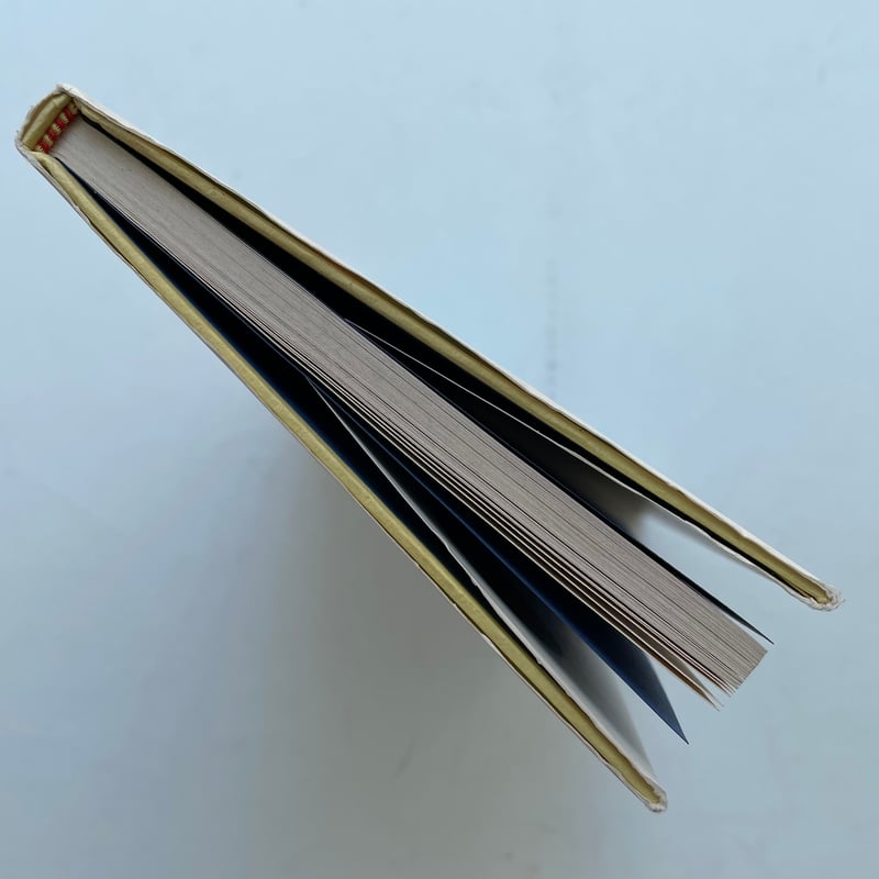 レイモンペイネ　愛の鳩 91jLmc1nYbL._UF350,350_QL50_.jpg