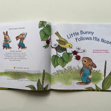 Little Bunny Follows His Nose