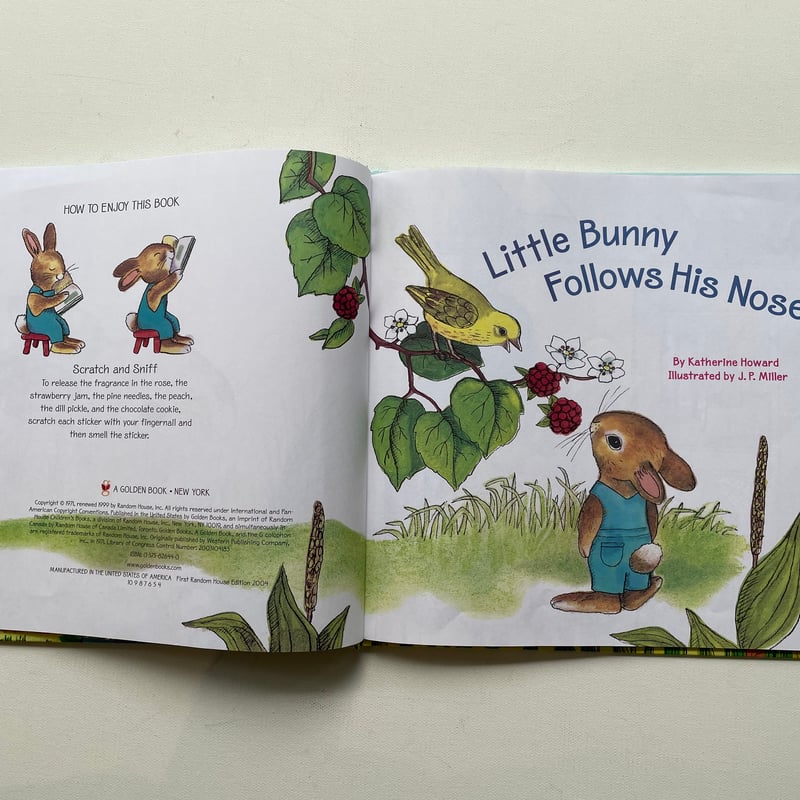 Little Bunny Follows His Nose | 古書まどそら堂