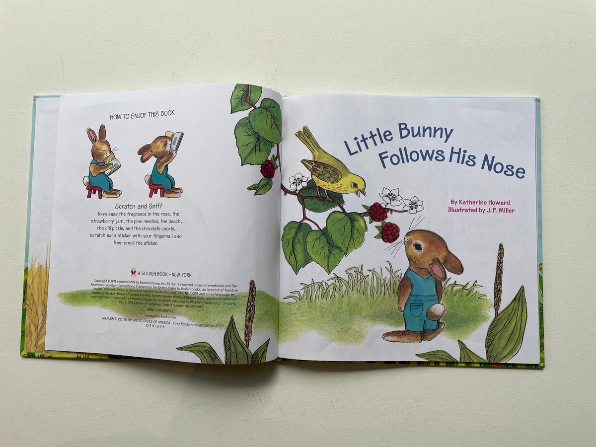 Little Bunny Follows His Nose | 古書まどそら堂