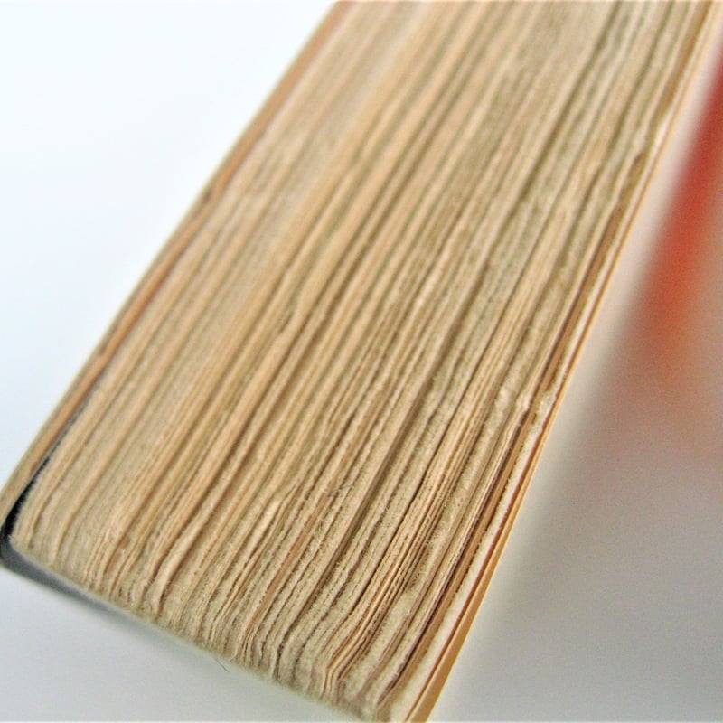 【200部限定出版】幽霊の書 日本一の幽霊物件 三茶のポルターガイスト』横澤丈二 | 幻冬舎