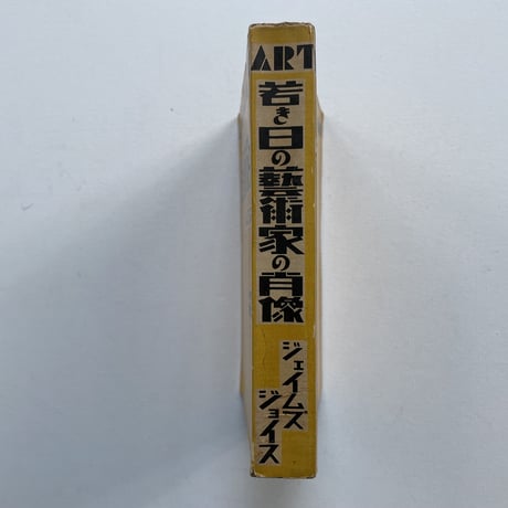 若き日の藝術家の肖像