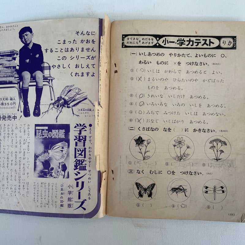 【中古】 書くこといっぱい 教室で読んであげたい綴方小１・２/部落問題研究所/なにわ作文の会 書きたいことが、いっぱいみつかる 作文教室 小学1・2年生