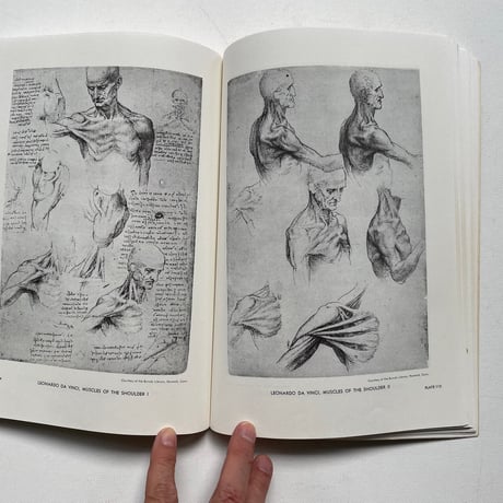 AN ATLAS OF ANATOMY FOR ARTISTS