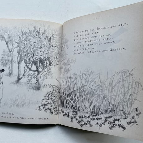 エマのまほうのめがね