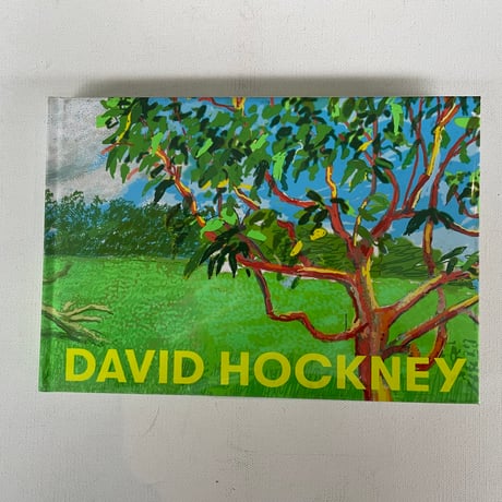 DAVID HOCKNEY