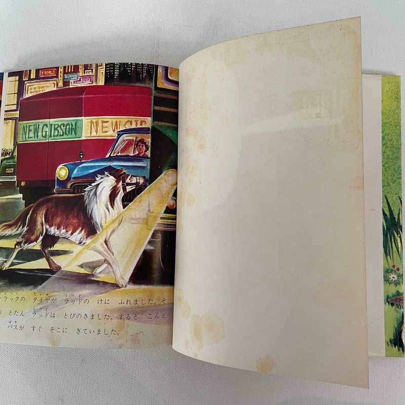 めい犬ラッド | 古書まどそら堂