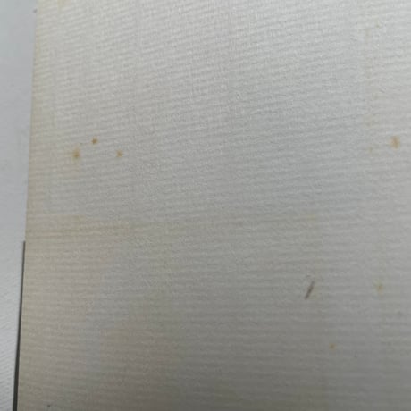 愛と同じくらい孤独