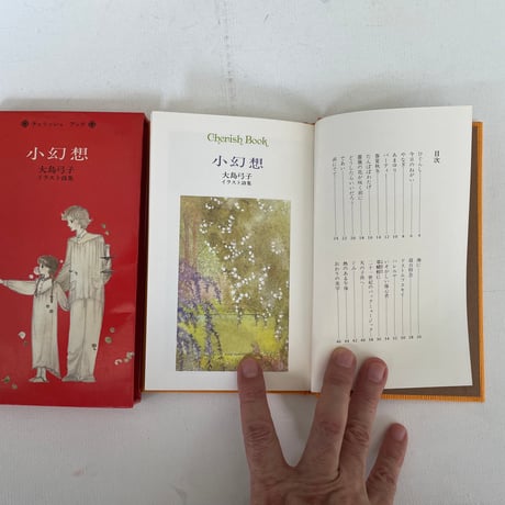 小幻想　大島弓子イラスト詩集