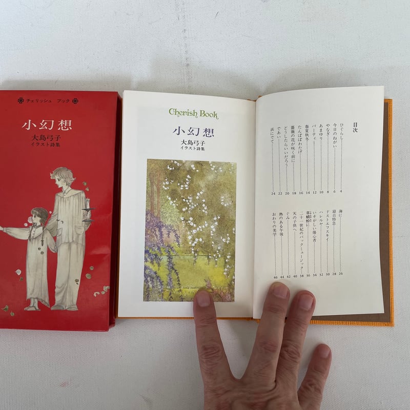 小幻想 大島弓子イラスト詩集 | 古書まどそら堂