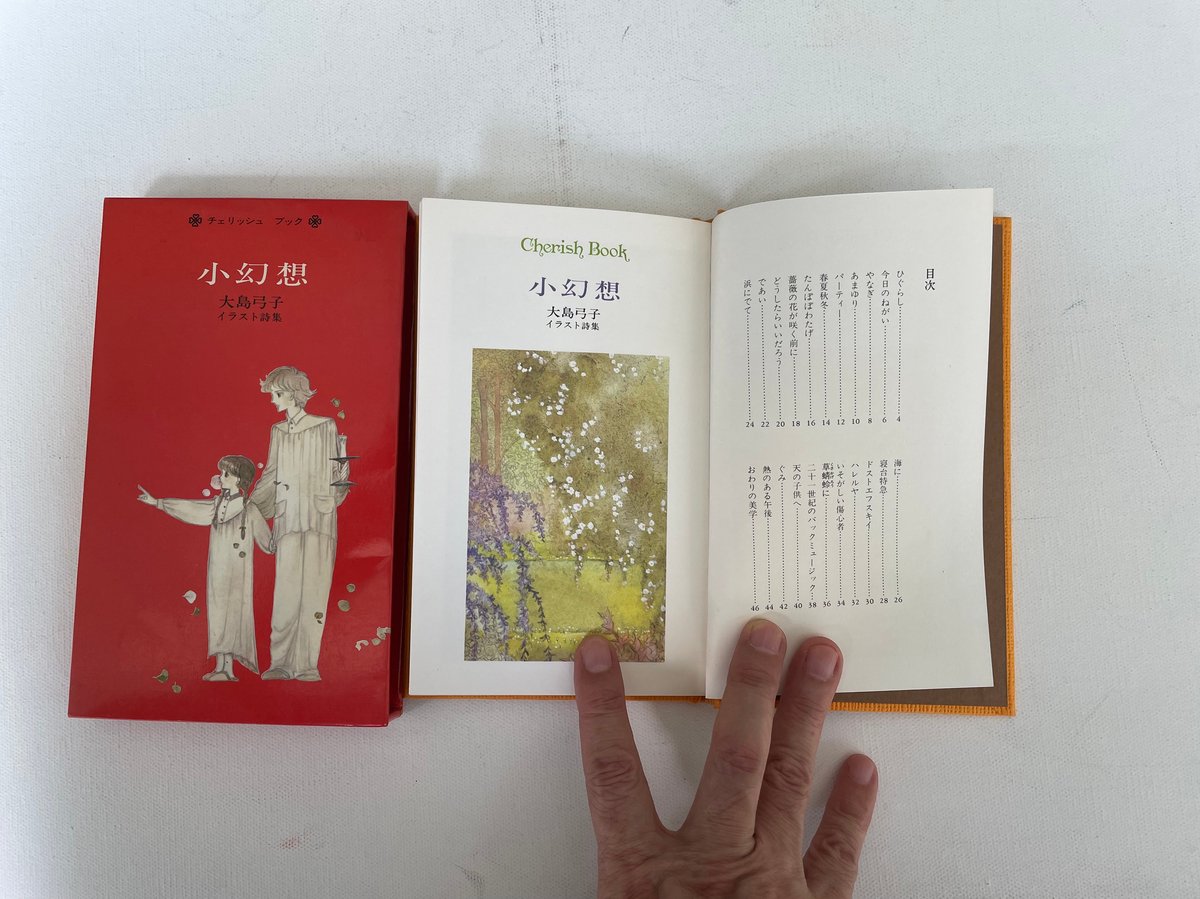 小幻想 大島弓子イラスト詩集 | 古書まどそら堂