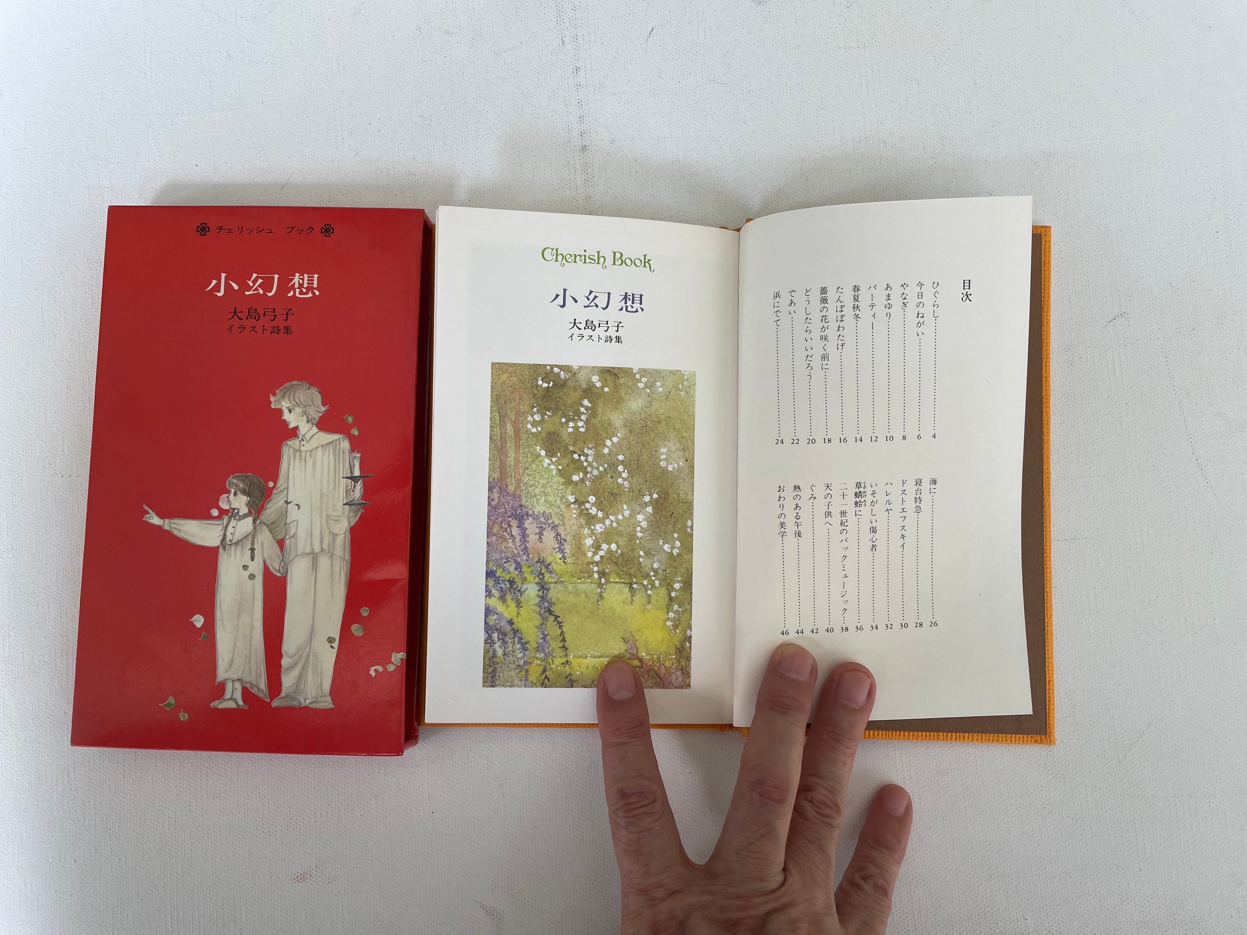 小幻想 大島弓子イラスト詩集 | 古書まどそら堂