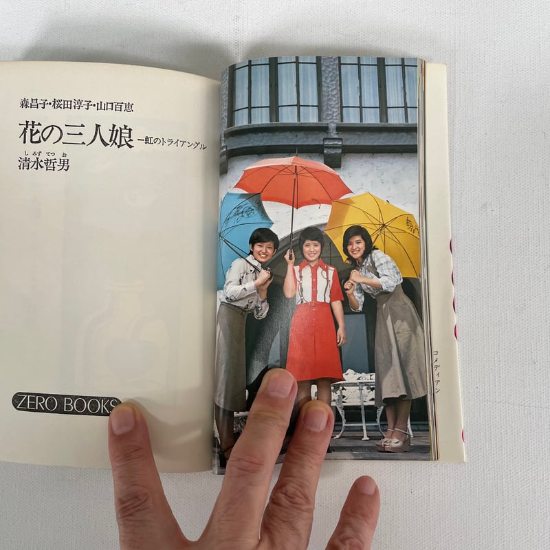 作品集3冊セット　児山敬一・津軽照子・田中火沙子　昭和11年 Amazon.co.jp: 鳥になった少年 [EPレコード 7inch]: ミュージック