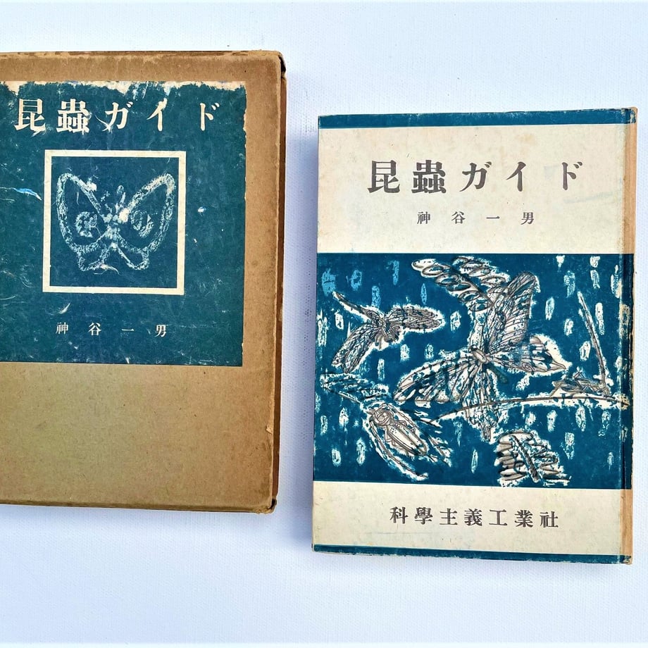 631af229ed4ab00fd1e089c5