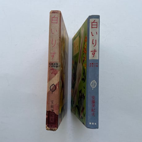 白いりす