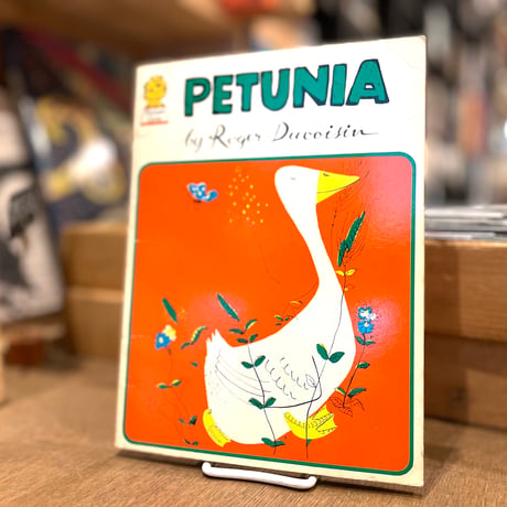 PETUNIA
