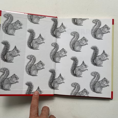 SQUIRRELS