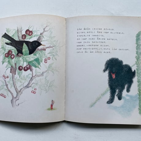 エマのまほうのめがね