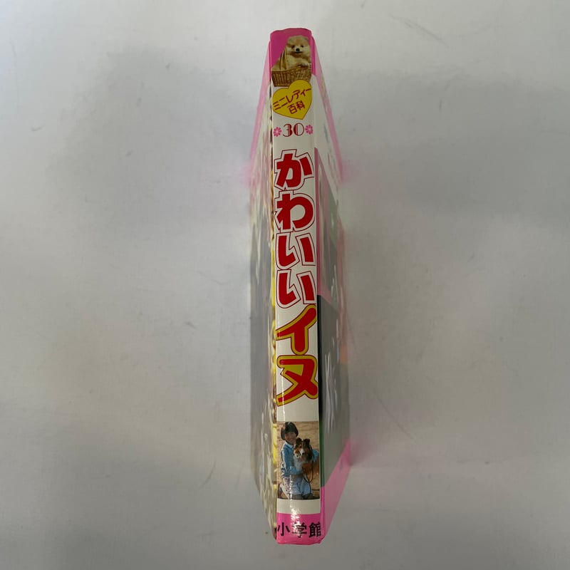 かわいいイヌ | 古書まどそら堂