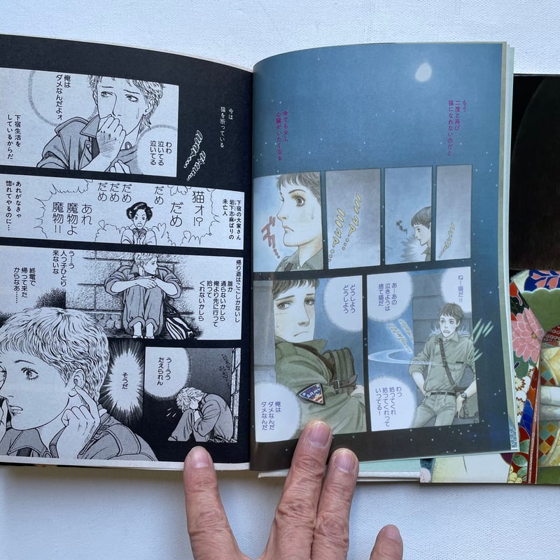 草迷宮・草空間 | 古書まどそら堂