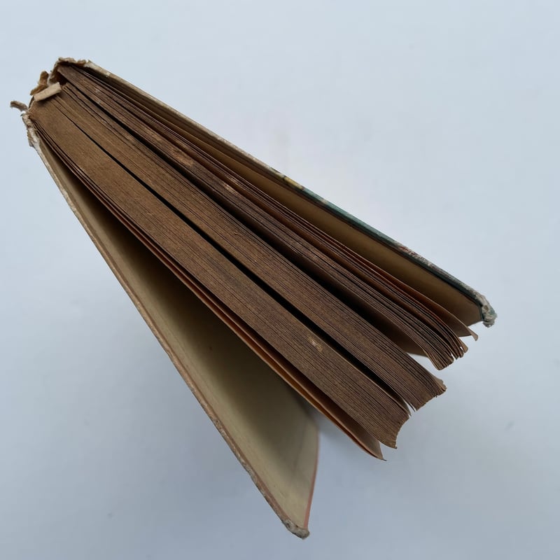 家なき子 | 古書まどそら堂