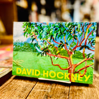 DAVID HOCKNEY