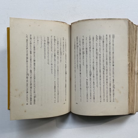 若き日の藝術家の肖像