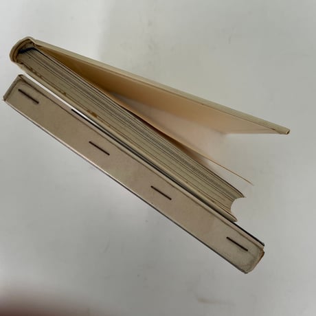 シャモニの休日