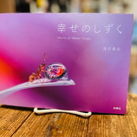 新たなる凝視 中平卓馬写真集 | 古書まどそら堂